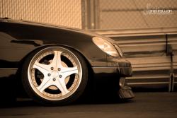 GT_911